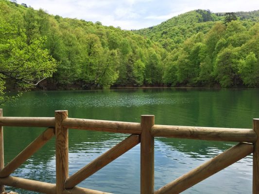 yedigoller 10 e1472480895615