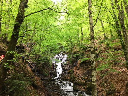 yedigoller 12 e1472480927979