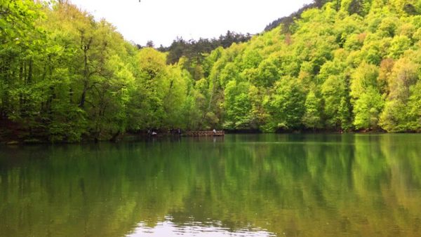 yedigoller 14 e1472480914440