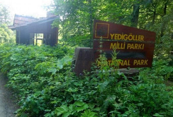 Yedigöller Milli Parkı 08