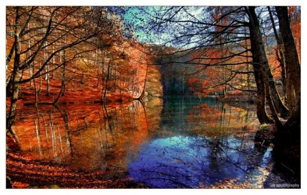 Yedigöller Milli Parkı 02