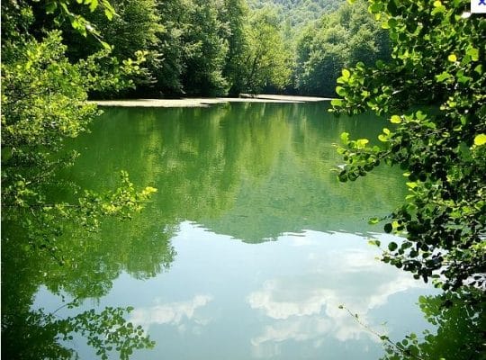 Yedigöller Milli Parkı 04