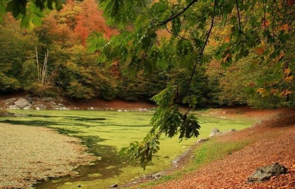 Yedigöller Milli Parkı 05