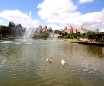 Gölet Bahçeşehir 01