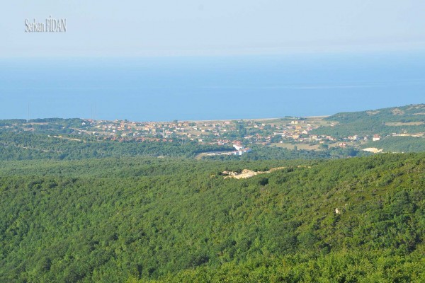 Yalıköy 01