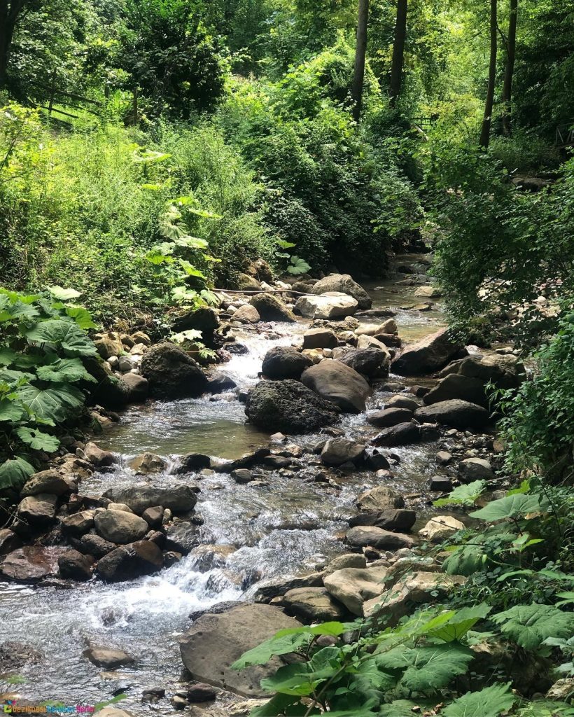 Kurugöl Kanyonu - Düzce