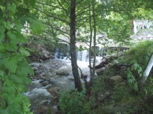 derin irmak kahvalti evi 06 e1398586128946