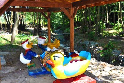 sapanca yesilkoy restaurant 04