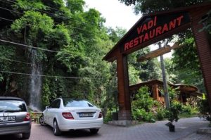 vadi restaurant 01 e1398465696951