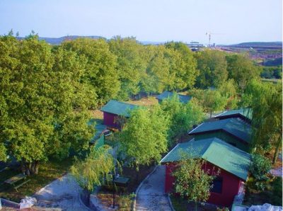 Green House Garden Park 06