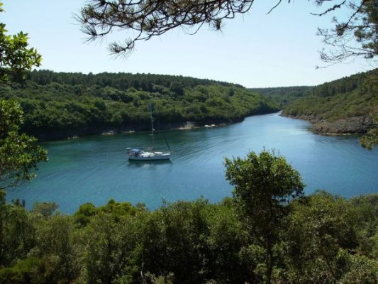 Sinop Hamsilos 01