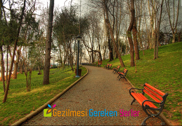 İstanbuldaki Botanik Parklar Bahçeler