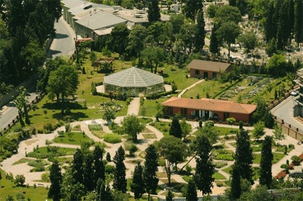 Zeytinburnu Tıbbi Bitkiler Bahçesi 01