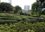 Hong Kong - Kowloon Park - 02
