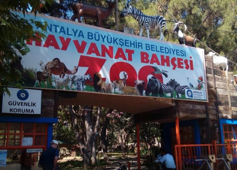 Antalya Hayvanat Bahçesi Nerede, Ziyaret ve Giriş Ücreti 2024