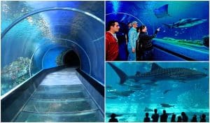 İstanbul Sea Life Akvaryum - 01