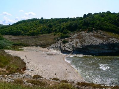 Sardala Plajı 05