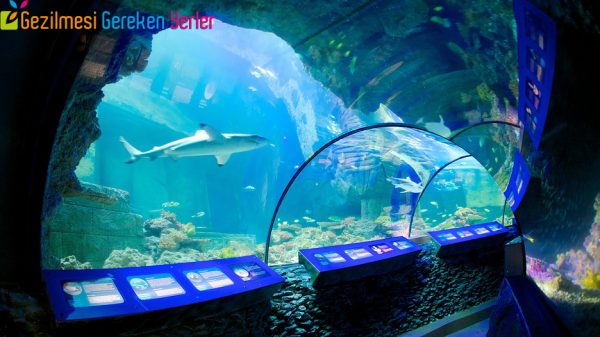 Sea Life Akvaryum İstanbul - 01