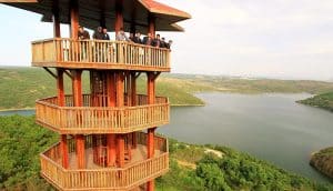 Sultangazi Kent Ormanı