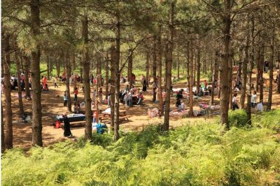 Sultangazi Kent Ormanı Piknik Alanı Mesire yeri