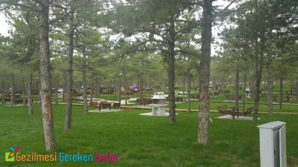 İzmirde Gidilmesi Gereken 5 Piknik Alanı İzmirde Gidilmesi Gereken 5 Piknik Alanı