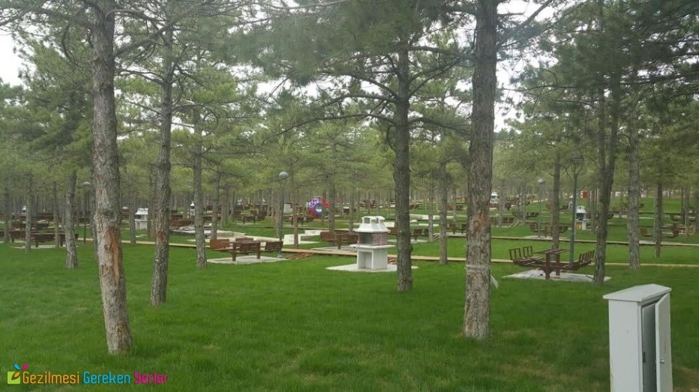 İzmirde Gidilmesi Gereken 20 Piknik Alanı