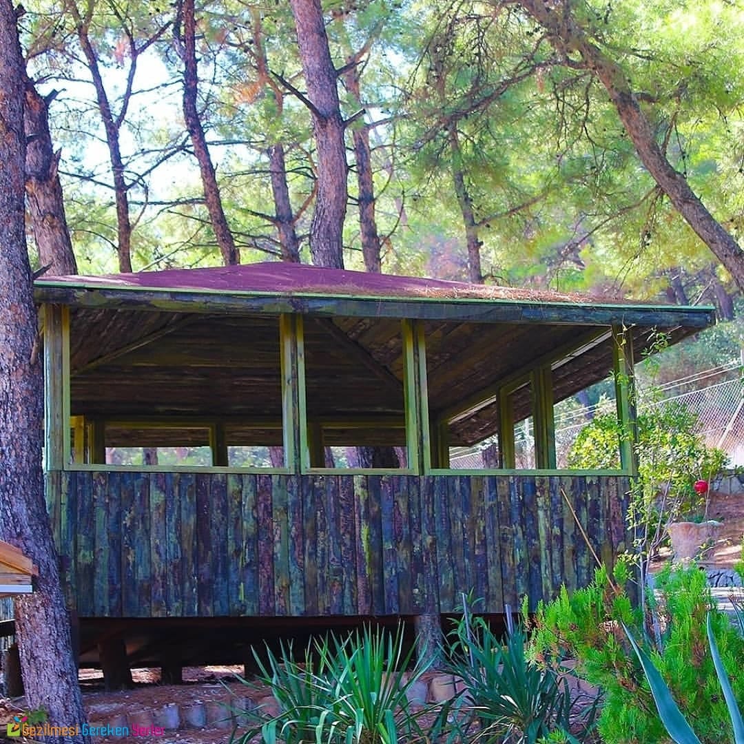 Güvendik Park İzmirde Gidilmesi Gereken 20 Piknik Alanı
