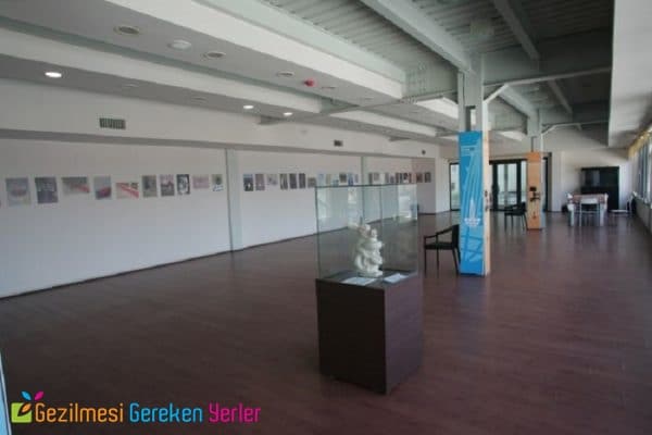 karikatur ve mizah muzesi 5