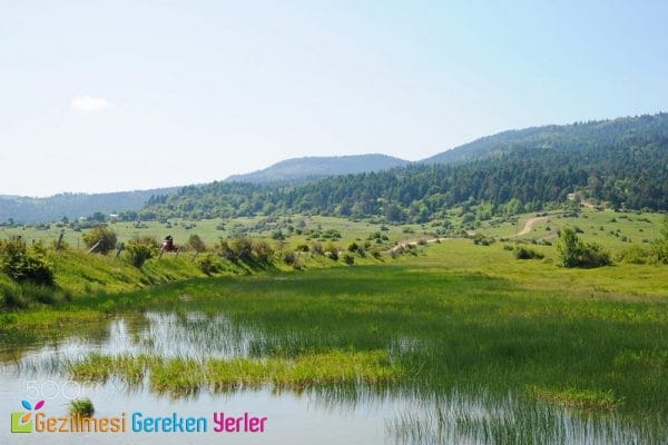 sakarya karagol yaylasi 2