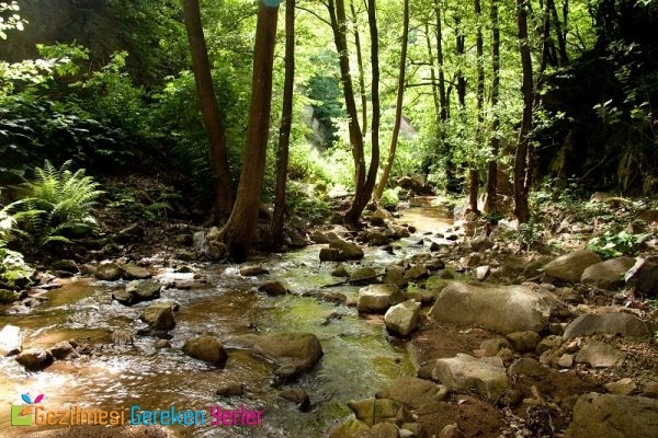 sakarya karagol yaylasi 5