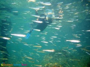 gokceada sualti deniz park 6