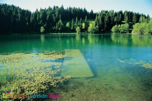 hatila vadisi milli parki 1