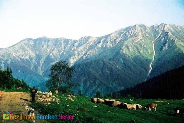 hatila vadisi milli parki 2