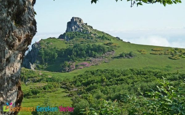 hatila vadisi milli parki 3