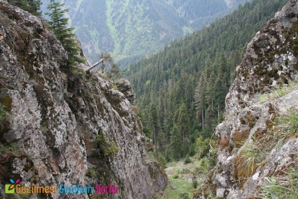 hatila vadisi milli parki 5