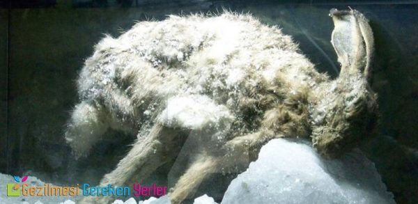 cankiri tuz magarasi 8