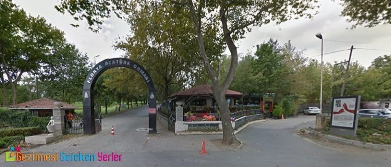Florya Atatürk Ormanı Nerede? Piknik, Kahvaltı ve Mangal İmkanları