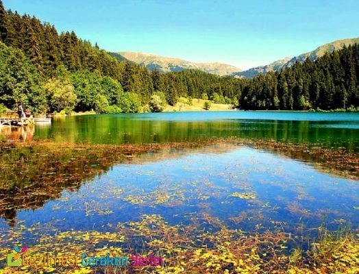 savsat karagol sahara milli parki 4