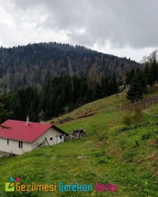 Odayeri Yaylası