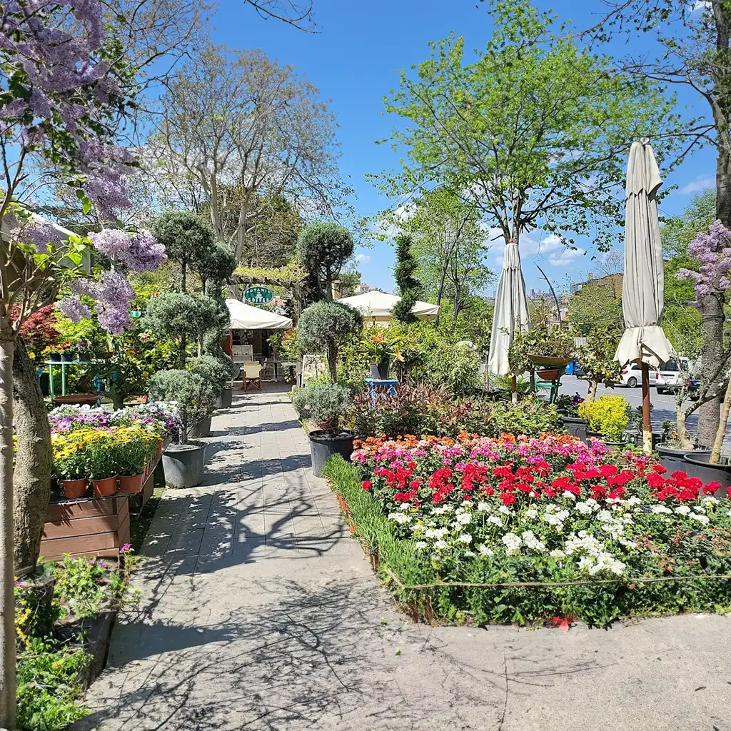 Botanik Bahçe Kuzguncuk