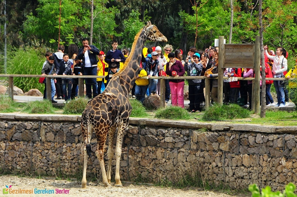 İzmir Doğal Yaşam Parkı Hayvanlar