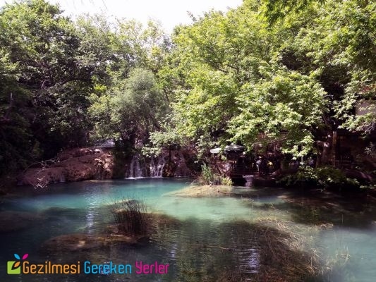 Sarısu Piknik Alanı