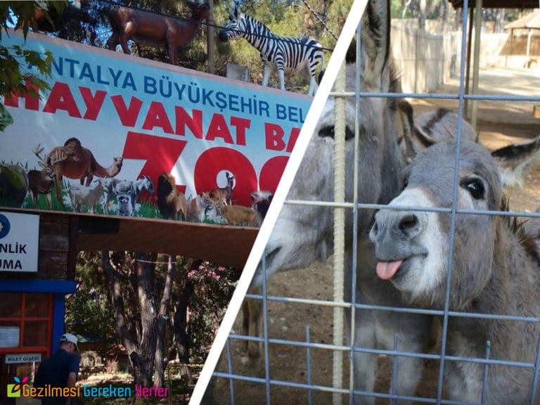 Antalya Hayvanat Bahçesi | Nerede, Ziyaret ve Giriş Ücreti
