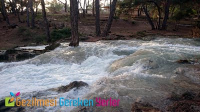 antalya hayvanat bahcesi hakkinda bilgi