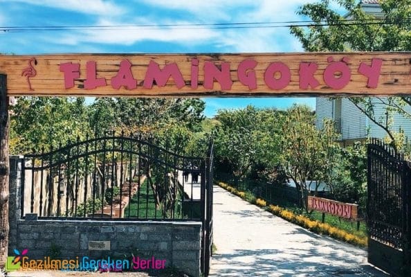 Flamingo Köy