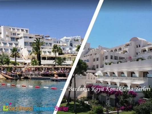Bardakçı Koyuna Yakın Otel ve Konaklama Yerleri
