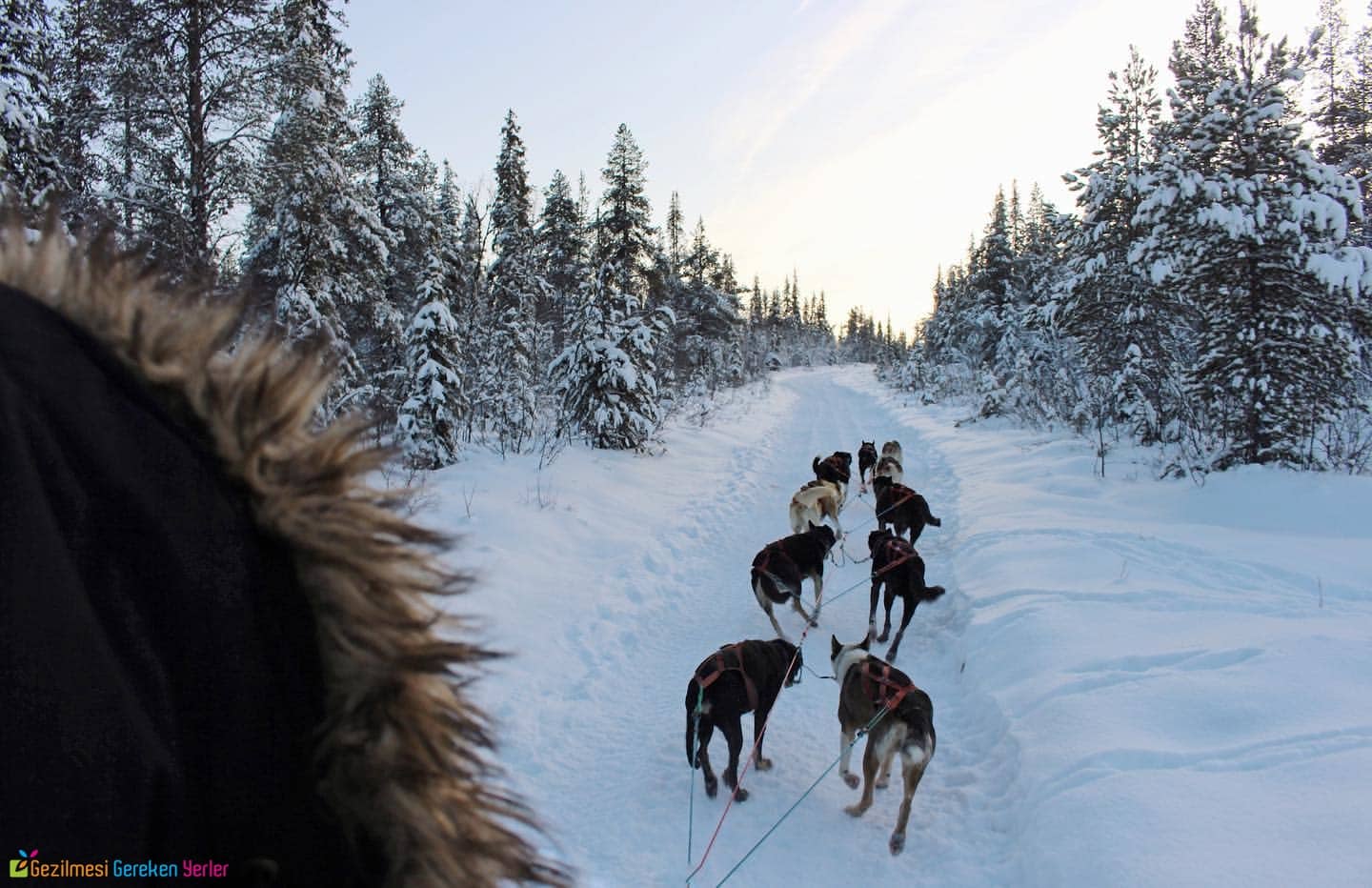 Jukkasjärvi isvec kuzey isiklari