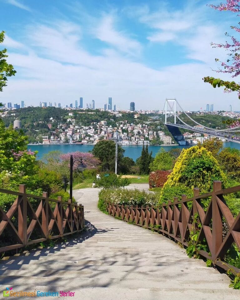 Fatih Korusu Tabiat Parkı | Otağtepe Parkı Nerede, Nasıl Gidilir?