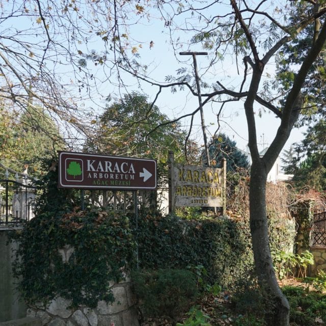 Karaca Arboretum Ağaç Müzesi Yalova