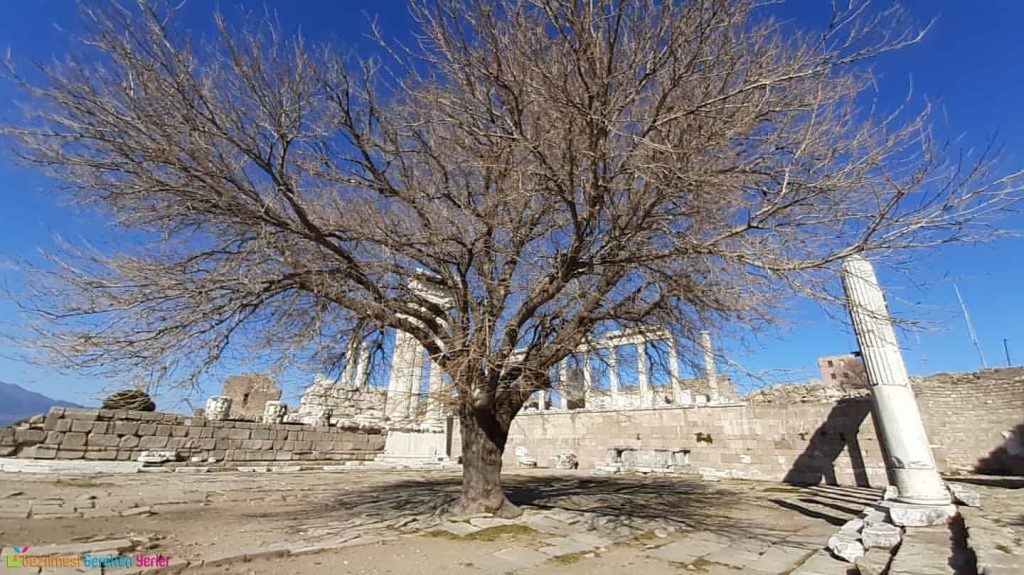 Pergamon Antik Kenti